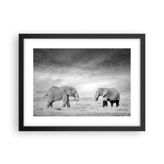Obraz - Plakat - Szare jest piękne - 40x30cm - Słoń Zwierzęta Safari - Foto Plakaty na ścianę w czarnej ramie - Plakat do Salonu Sypialni ARTTOR ARTTOR