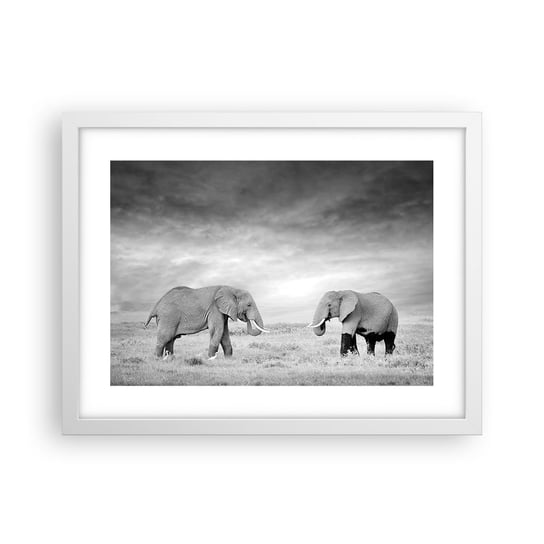 Obraz - Plakat - Szare jest piękne - 40x30cm - Słoń Zwierzęta Safari - Foto Plakaty na ścianę w ramie białej - Plakat do Salonu Sypialni ARTTOR ARTTOR