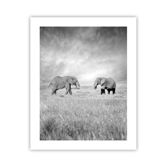 Obraz - Plakat - Szare jest piękne - 40x50cm - Słoń Zwierzęta Safari - Foto Plakaty bez ramy do Salonu Sypialni ARTTOR ARTTOR