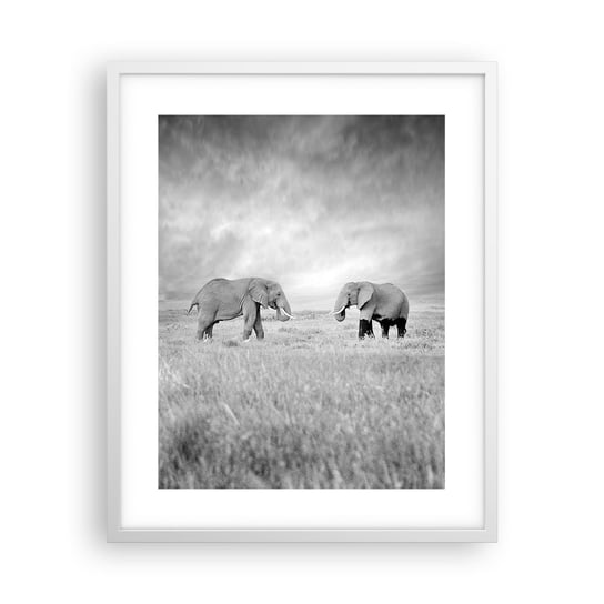 Obraz - Plakat - Szare jest piękne - 40x50cm - Słoń Zwierzęta Safari - Foto Plakaty w ramie koloru białego do Salonu Sypialni ARTTOR ARTTOR