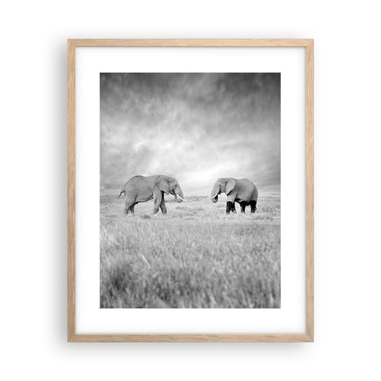 Obraz - Plakat - Szare jest piękne - 40x50cm - Słoń Zwierzęta Safari - Foto Plakaty w ramie koloru jasny dąb do Salonu Sypialni ARTTOR ARTTOR