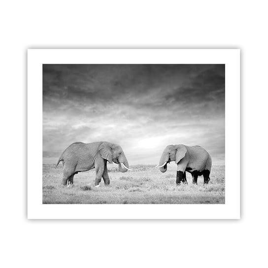 Obraz - Plakat - Szare jest piękne - 50x40cm - Słoń Zwierzęta Safari - Foto Plakaty bez ramy do Salonu Sypialni ARTTOR ARTTOR