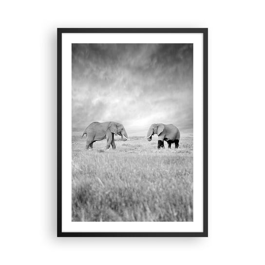 Obraz - Plakat - Szare jest piękne - 50x70cm - Słoń Zwierzęta Safari - Nowoczesny modny obraz Plakat czarna rama ARTTOR ARTTOR