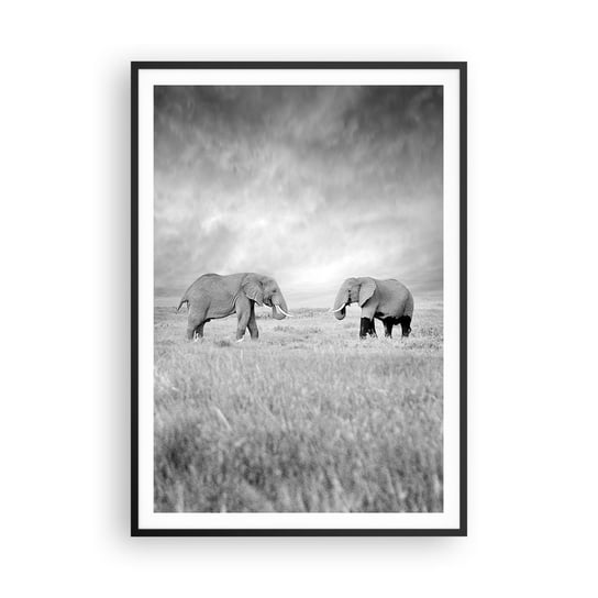 Obraz - Plakat - Szare jest piękne - 70x100cm - Słoń Zwierzęta Safari - Foto Plakaty w ramie koloru czarnego do Salonu Sypialni ARTTOR ARTTOR