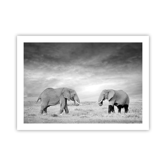Obraz - Plakat - Szare jest piękne - 70x50cm - Słoń Zwierzęta Safari - Nowoczesny modny obraz Plakat bez ramy do Salonu Sypialni ARTTOR ARTTOR
