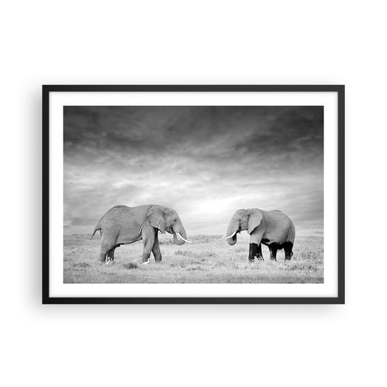 Obraz - Plakat - Szare jest piękne - 70x50cm - Słoń Zwierzęta Safari - Nowoczesny modny obraz Plakat czarna rama ARTTOR ARTTOR