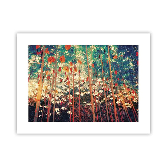 Obraz - Plakat - Tajemne życie liści - 40x30cm - Las Tropikalny Natura Drzewa - Foto Plakaty na ścianę bez ramy - Plakat do Salonu Sypialni ARTTOR ARTTOR