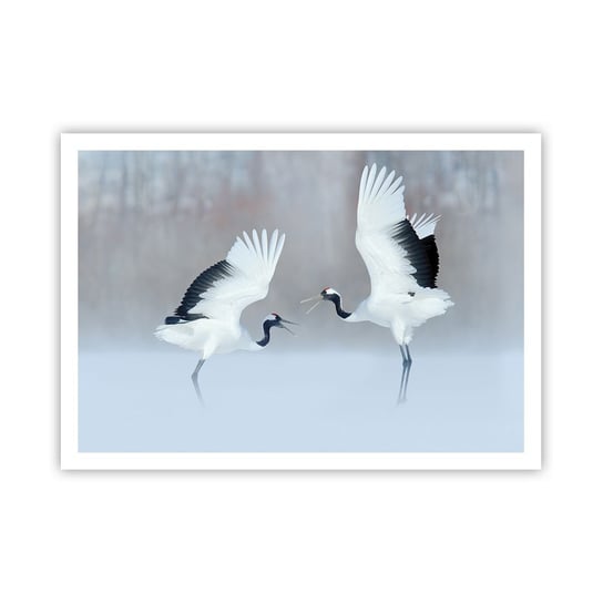 Obraz - Plakat - Taniec we mgle - 100x70cm - Zima Ptak Natura - Foto Plakaty bez ramy na ścianę do Salonu Sypialni ARTTOR ARTTOR