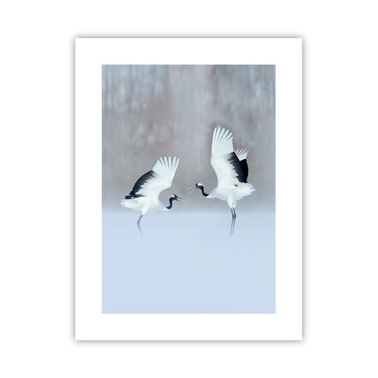 Obraz - Plakat - Taniec we mgle - 30x40cm - Zima Ptak Natura - Foto Plakaty na ścianę bez ramy - Plakat do Salonu Sypialni ARTTOR ARTTOR