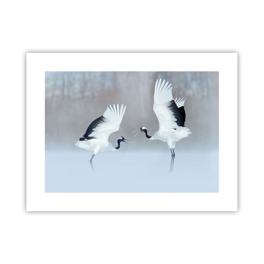 Obraz - Plakat - Taniec we mgle - 40x30cm - Zima Ptak Natura - Foto Plakaty na ścianę bez ramy - Plakat do Salonu Sypialni ARTTOR ARTTOR