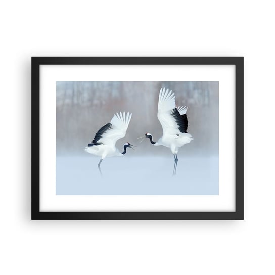 Obraz - Plakat - Taniec we mgle - 40x30cm - Zima Ptak Natura - Foto Plakaty na ścianę w czarnej ramie - Plakat do Salonu Sypialni ARTTOR ARTTOR