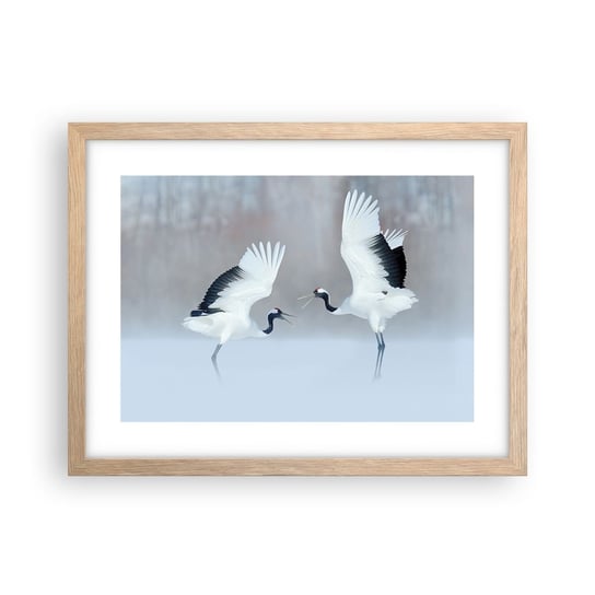 Obraz - Plakat - Taniec we mgle - 40x30cm - Zima Ptak Natura - Foto Plakaty na ścianę w ramie jasny dąb - Plakat do Salonu Sypialni ARTTOR ARTTOR