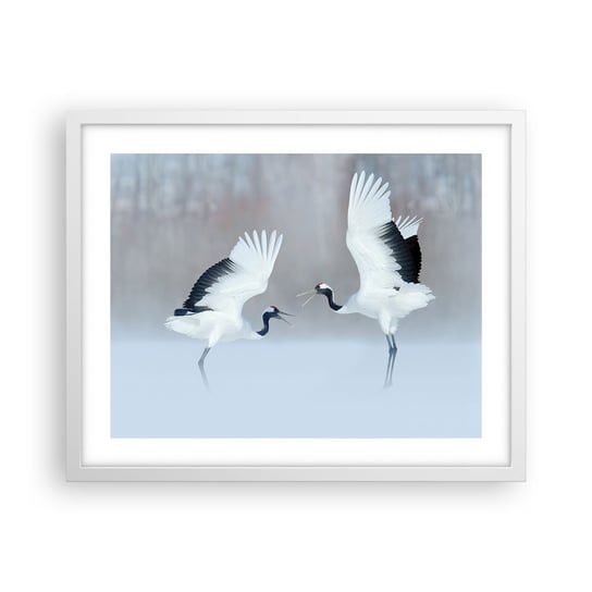 Obraz - Plakat - Taniec we mgle - 50x40cm - Zima Ptak Natura - Foto Plakaty w ramie koloru białego do Salonu Sypialni ARTTOR ARTTOR