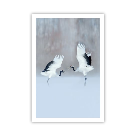 Obraz - Plakat - Taniec we mgle - 61x91cm - Zima Ptak Natura - Foto Plakaty na ścianę bez ramy - Plakat do Salonu Sypialni ARTTOR ARTTOR