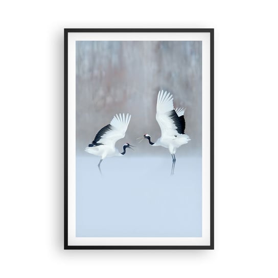 Obraz - Plakat - Taniec we mgle - 61x91cm - Zima Ptak Natura - Foto Plakaty na ścianę w czarnej ramie - Plakat do Salonu Sypialni ARTTOR ARTTOR