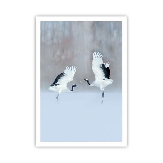 Obraz - Plakat - Taniec we mgle - 70x100cm - Zima Ptak Natura - Foto Plakaty bez ramy na ścianę do Salonu Sypialni ARTTOR ARTTOR