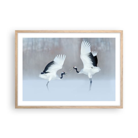 Obraz - Plakat - Taniec we mgle - 70x50cm - Zima Ptak Natura - Nowoczesny modny obraz Plakat rama jasny dąb ARTTOR ARTTOR
