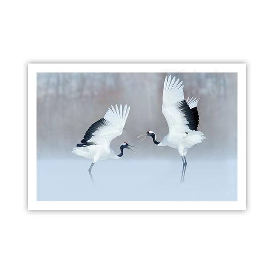Obraz - Plakat - Taniec we mgle - 91x61cm - Zima Ptak Natura - Foto Plakaty na ścianę bez ramy - Plakat do Salonu Sypialni ARTTOR ARTTOR