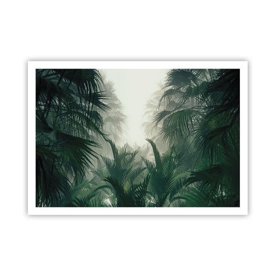 Obraz - Plakat - Tropikalna tajemnica - 100x70cm - Dżungla Palma Kokosowa Las - Foto Plakaty bez ramy na ścianę do Salonu Sypialni ARTTOR ARTTOR