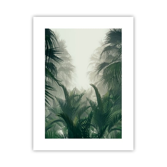 Obraz - Plakat - Tropikalna tajemnica - 30x40cm - Dżungla Palma Kokosowa Las - Foto Plakaty na ścianę bez ramy - Plakat do Salonu Sypialni ARTTOR ARTTOR