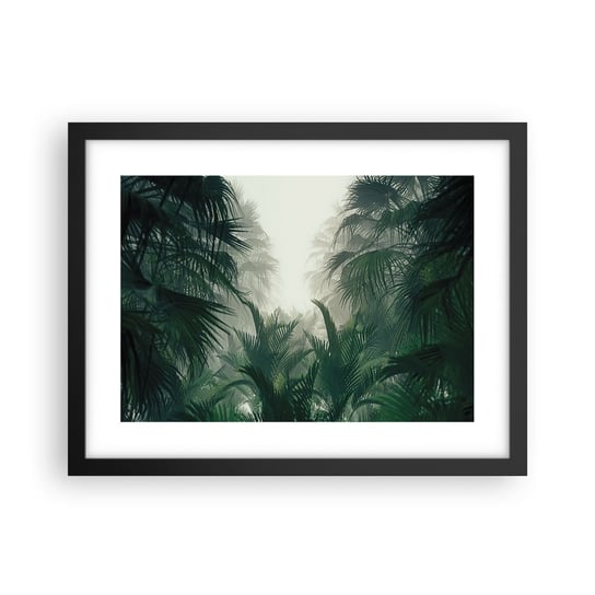 Obraz - Plakat - Tropikalna tajemnica - 40x30cm - Dżungla Palma Kokosowa Las - Foto Plakaty na ścianę w czarnej ramie - Plakat do Salonu Sypialni ARTTOR ARTTOR