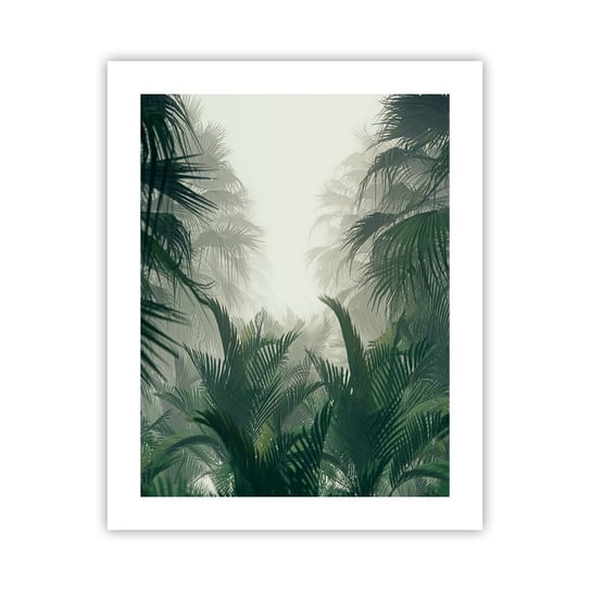 Obraz - Plakat - Tropikalna tajemnica - 40x50cm - Dżungla Palma Kokosowa Las - Foto Plakaty bez ramy do Salonu Sypialni ARTTOR ARTTOR