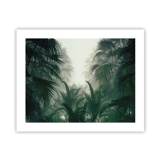 Obraz - Plakat - Tropikalna tajemnica - 50x40cm - Dżungla Palma Kokosowa Las - Foto Plakaty bez ramy do Salonu Sypialni ARTTOR ARTTOR