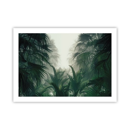 Obraz - Plakat - Tropikalna tajemnica - 70x50cm - Dżungla Palma Kokosowa Las - Nowoczesny modny obraz Plakat bez ramy do Salonu Sypialni ARTTOR ARTTOR