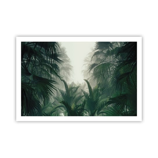Obraz - Plakat - Tropikalna tajemnica - 91x61cm - Dżungla Palma Kokosowa Las - Foto Plakaty na ścianę bez ramy - Plakat do Salonu Sypialni ARTTOR ARTTOR