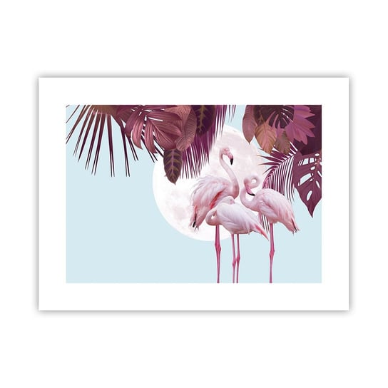 Obraz - Plakat - Trzy ptasie gracje - 40x30cm - Flamingi Ptaki Natura - Foto Plakaty na ścianę bez ramy - Plakat do Salonu Sypialni ARTTOR ARTTOR