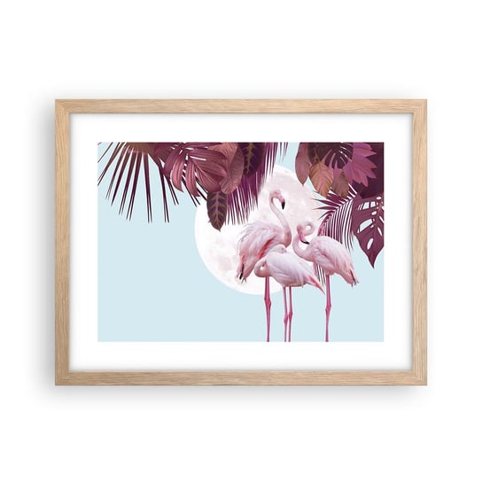 Obraz - Plakat - Trzy ptasie gracje - 40x30cm - Flamingi Ptaki Natura - Foto Plakaty na ścianę w ramie jasny dąb - Plakat do Salonu Sypialni ARTTOR ARTTOR