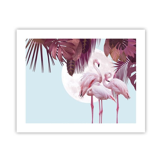Obraz - Plakat - Trzy ptasie gracje - 50x40cm - Flamingi Ptaki Natura - Foto Plakaty bez ramy do Salonu Sypialni ARTTOR ARTTOR