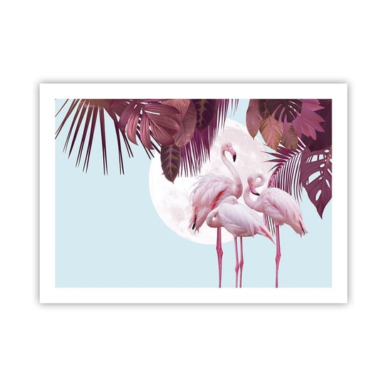 Obraz - Plakat - Trzy ptasie gracje - 70x50cm - Flamingi Ptaki Natura - Nowoczesny modny obraz Plakat bez ramy do Salonu Sypialni ARTTOR ARTTOR