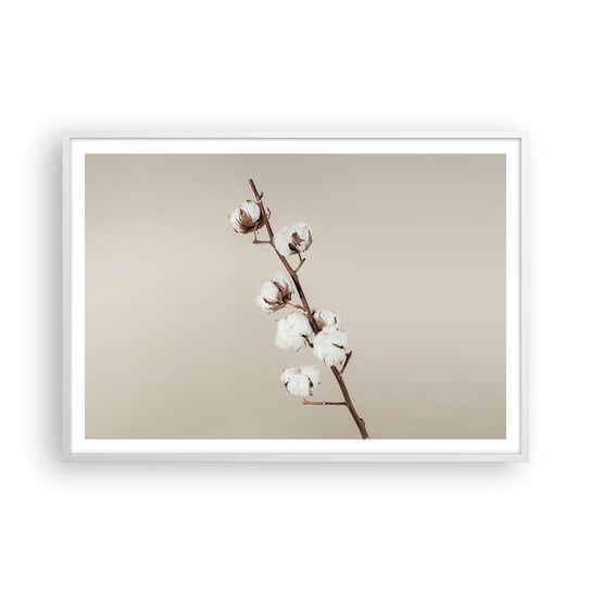 Obraz - Plakat - U źródła miękkości - 100x70cm - Kwiat Bawełny Natura Bawełna - Foto Plakaty w ramie koloru białego do Salonu Sypialni ARTTOR ARTTOR
