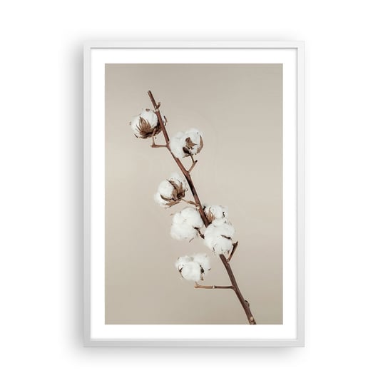 Obraz - Plakat - U źródła miękkości - 50x70cm - Kwiat Bawełny Natura Bawełna - Nowoczesny modny obraz Plakat rama biała ARTTOR ARTTOR