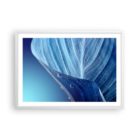 Obraz - Plakat - Ukryte krople błękitu - 70x50cm - Liść Roślina Natura - Nowoczesny modny obraz Plakat rama biała ARTTOR ARTTOR