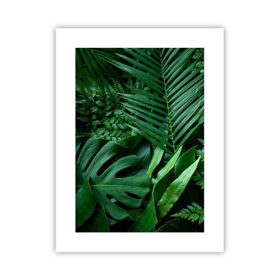 Obraz - Plakat - Utulone w zieleni - 30x40cm - Roślina Egzotyczna Liść Palmy Liść Monstera - Foto Plakaty na ścianę bez ramy - Plakat do Salonu Sypialni ARTTOR ARTTOR