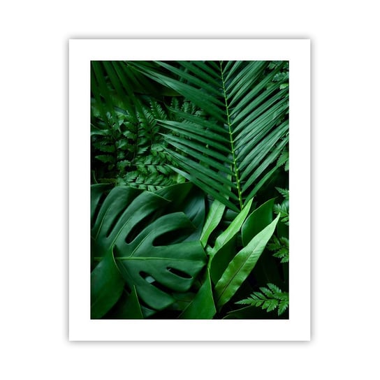 Obraz - Plakat - Utulone w zieleni - 40x50cm - Roślina Egzotyczna Liść Palmy Liść Monstera - Foto Plakaty bez ramy do Salonu Sypialni ARTTOR ARTTOR