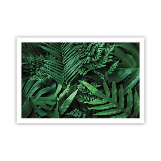 Obraz - Plakat - Utulone w zieleni - 91x61cm - Roślina Egzotyczna Liść Palmy Liść Monstera - Foto Plakaty na ścianę bez ramy - Plakat do Salonu Sypialni ARTTOR ARTTOR