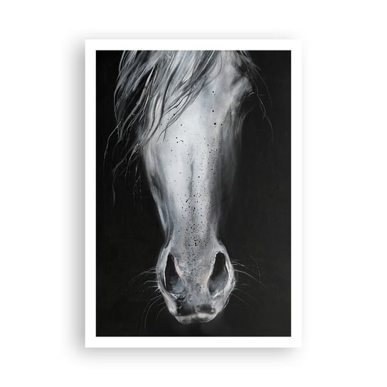 Obraz - Plakat - Uwodzicielskie spojrzenie - 70x100cm - Koń Zwierzę Artystyczny - Foto Plakaty bez ramy na ścianę do Salonu Sypialni ARTTOR ARTTOR