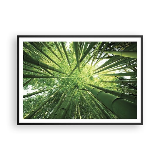 Obraz - Plakat - W bambusowym gaju - 100x70cm - Las Bambusowy Dżungla Bambus - Foto Plakaty w ramie koloru czarnego do Salonu Sypialni ARTTOR ARTTOR