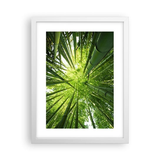 Obraz - Plakat - W bambusowym gaju - 30x40cm - Las Bambusowy Dżungla Bambus - Foto Plakaty na ścianę w ramie białej - Plakat do Salonu Sypialni ARTTOR ARTTOR