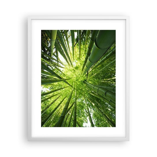 Obraz - Plakat - W bambusowym gaju - 40x50cm - Las Bambusowy Dżungla Bambus - Foto Plakaty w ramie koloru białego do Salonu Sypialni ARTTOR ARTTOR
