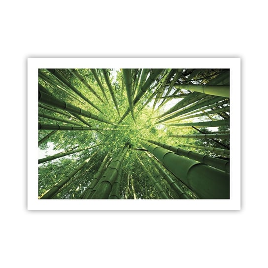 Obraz - Plakat - W bambusowym gaju - 70x50cm - Las Bambusowy Dżungla Bambus - Nowoczesny modny obraz Plakat bez ramy do Salonu Sypialni ARTTOR ARTTOR