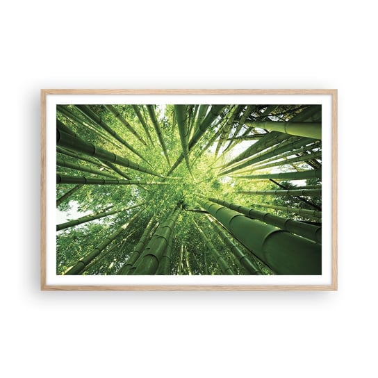 Obraz - Plakat - W bambusowym gaju - 91x61cm - Las Bambusowy Dżungla Bambus - Foto Plakaty na ścianę w ramie jasny dąb - Plakat do Salonu Sypialni ARTTOR ARTTOR