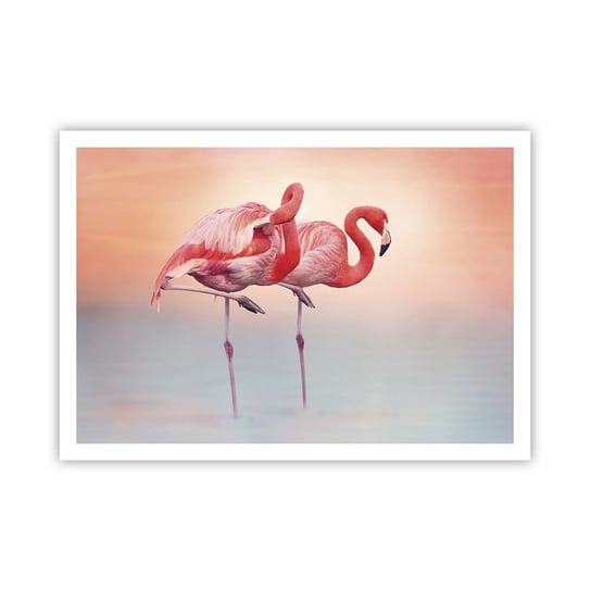 Obraz - Plakat - W kolorze zachodzącego słońca - 100x70cm - Flamingi Ptaki Natura - Foto Plakaty bez ramy na ścianę do Salonu Sypialni ARTTOR ARTTOR