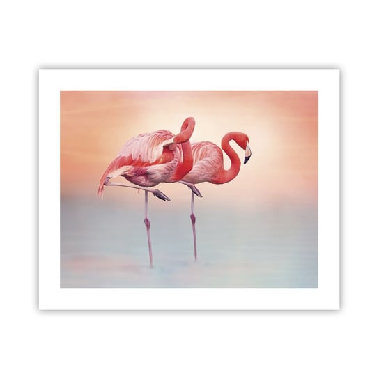 Obraz - Plakat - W kolorze zachodzącego słońca - 50x40cm - Flamingi Ptaki Natura - Foto Plakaty bez ramy do Salonu Sypialni ARTTOR ARTTOR