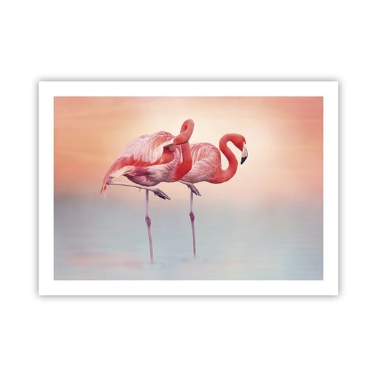 Obraz - Plakat - W kolorze zachodzącego słońca - 70x50cm - Flamingi Ptaki Natura - Nowoczesny modny obraz Plakat bez ramy do Salonu Sypialni ARTTOR ARTTOR