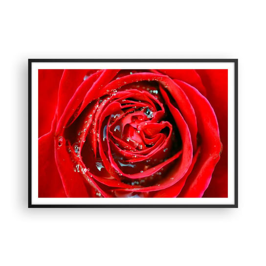 Obraz - Plakat - W kroplach rosy - 100x70cm - Kwiaty Czerwona Róża Miłość - Foto Plakaty w ramie koloru czarnego do Salonu Sypialni ARTTOR ARTTOR