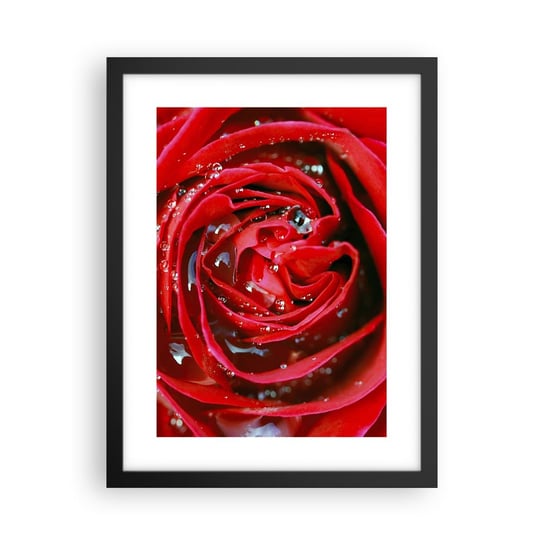 Obraz - Plakat - W kroplach rosy - 30x40cm - Kwiaty Czerwona Róża Miłość - Foto Plakaty na ścianę w czarnej ramie - Plakat do Salonu Sypialni ARTTOR ARTTOR